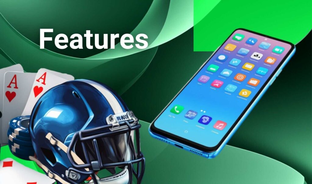 Features of the Stake Nigeria Application review