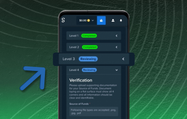 Stake Nigeria security measures for user account in the form of verification detailed instructions step 4